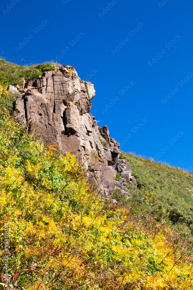 Gray rock cliff with autumn ferns