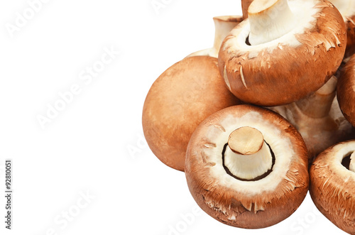 Champignon (True mushroom), isolated on white background