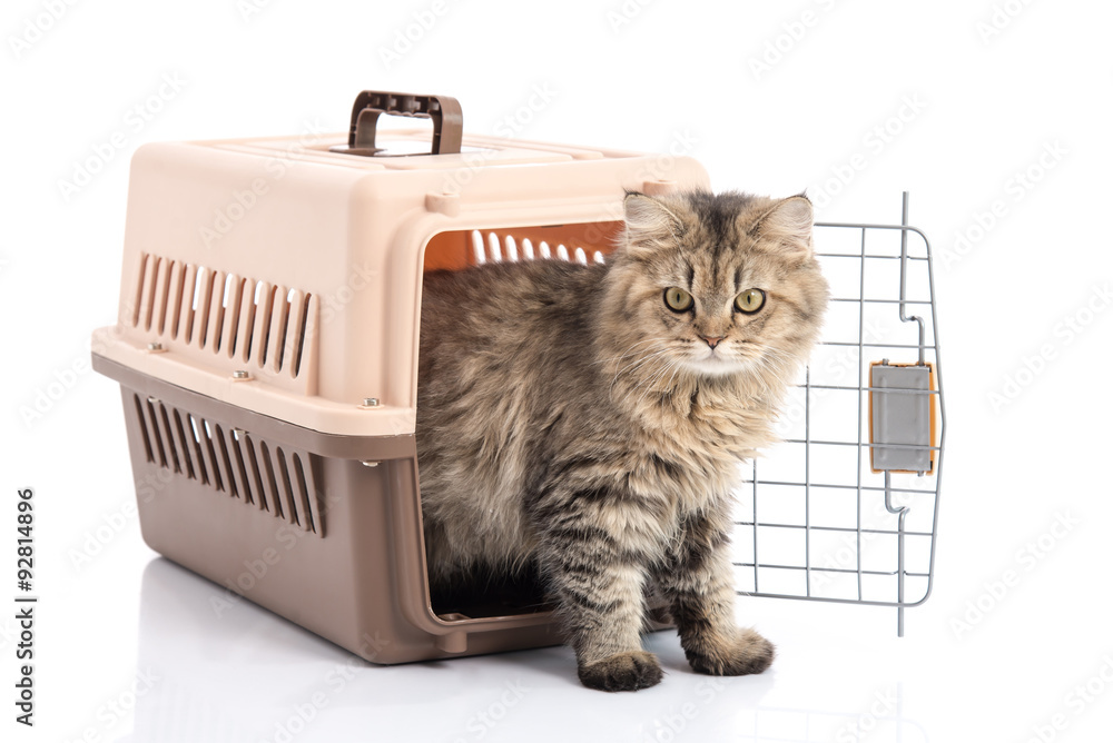 Fototapeta premium cat ponibcctyc vk pet carrier isolated on white background