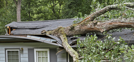 Keuken achterwand Onweer Gevallen boom verwoest dak woning  © WideAwake