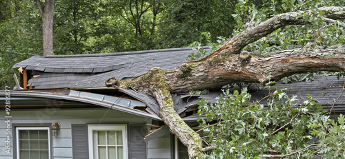 Storm Fells Tree Destroying a House Roof
