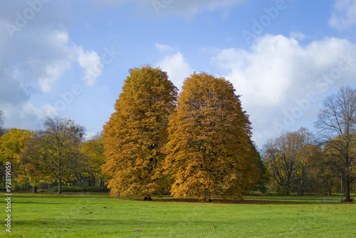 Georgengarten im Herbst, Hannover, Niedersachsen, Deutschland