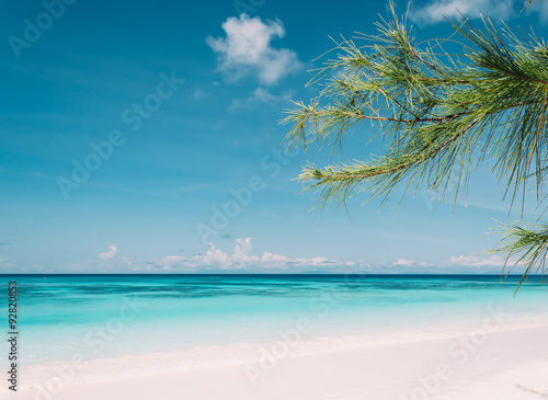Fototapeta Naklejka Na Ścianę i Meble -  blue sky with beach sea and leaf - film filter