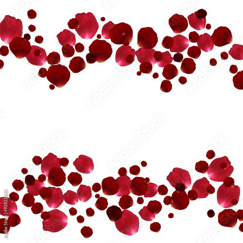 Red and pink rose petals