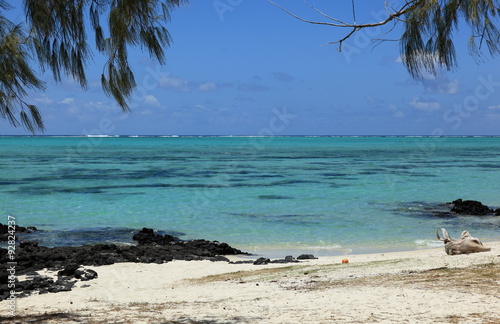 Fototapeta Naklejka Na Ścianę i Meble -  plage de l'île aux cerfs près de l'île Maurice