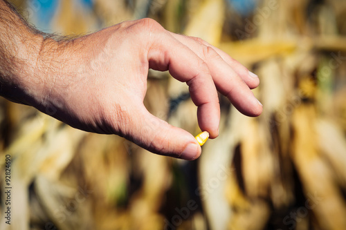 Farmer holding corn seed