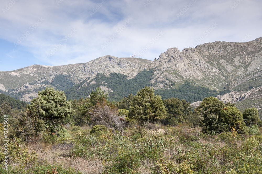 Mediterranean forest in La Barranca Valley, in Guadarrama Mountains, Madrid, Spain. In the background, the peaks of Alto de Guarramillas (Bola del Mundo) Mediterranean forest in La Barranca Valley, in Guadarrama Mountains, Madrid, Spain. In the background, the peaks of Alto de Guarramillas (Bola del Mundo)