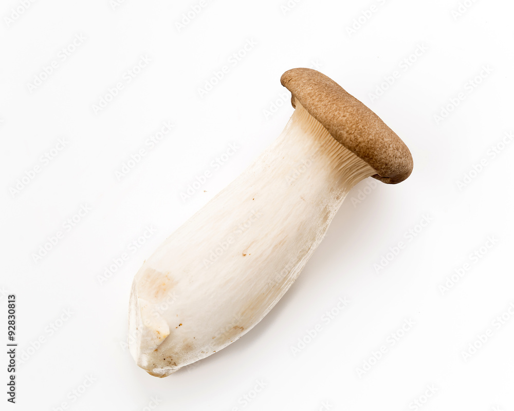fresh mushrooms fresh mushrooms