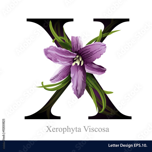 Letter X vector alphabet with xerophyta viscosa. ABC concept typ photo