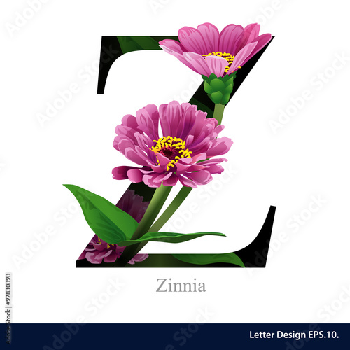 Letter Z  vector alphabet with Zinna. ABC concept type as logo.