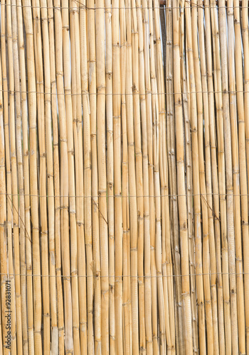 Fototapeta Naklejka Na Ścianę i Meble -  Bambusmatten