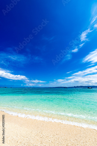 Canvas Print Sea, beach, landscape. Okinawa, Japan, Asia.
