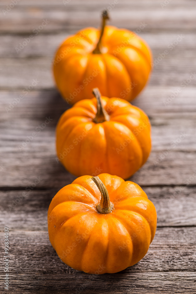 Obraz premium Three mini pumpkins