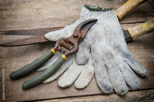 Gardening tools on old wooden background.vintagr style photo