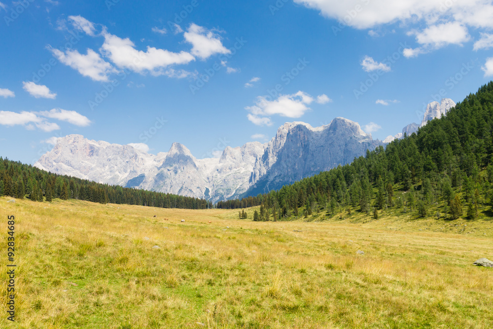 Beautiful alpine panorama