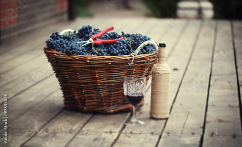 Fotografie Basket with grapes