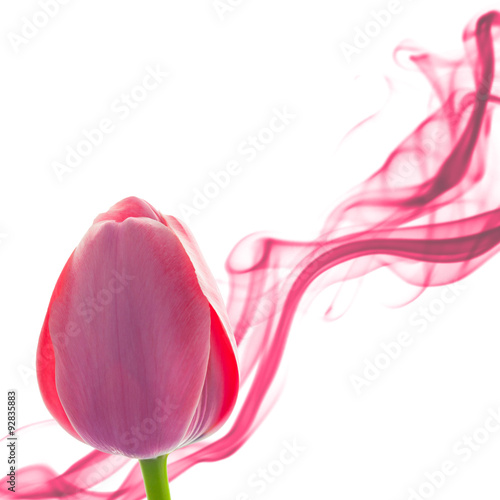 Naklejki na drzwi Abstrakcyjny kwiatowy wzór z tulipanem