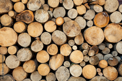 Wood log pile background  natural colors and texture