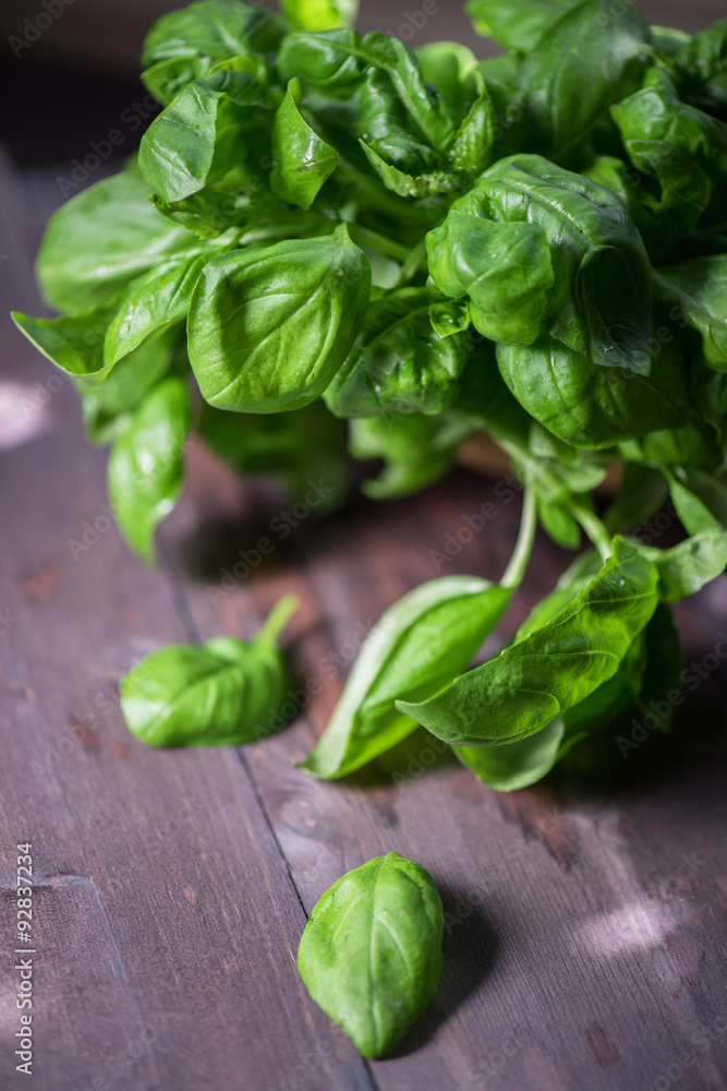 Fresh organic basil