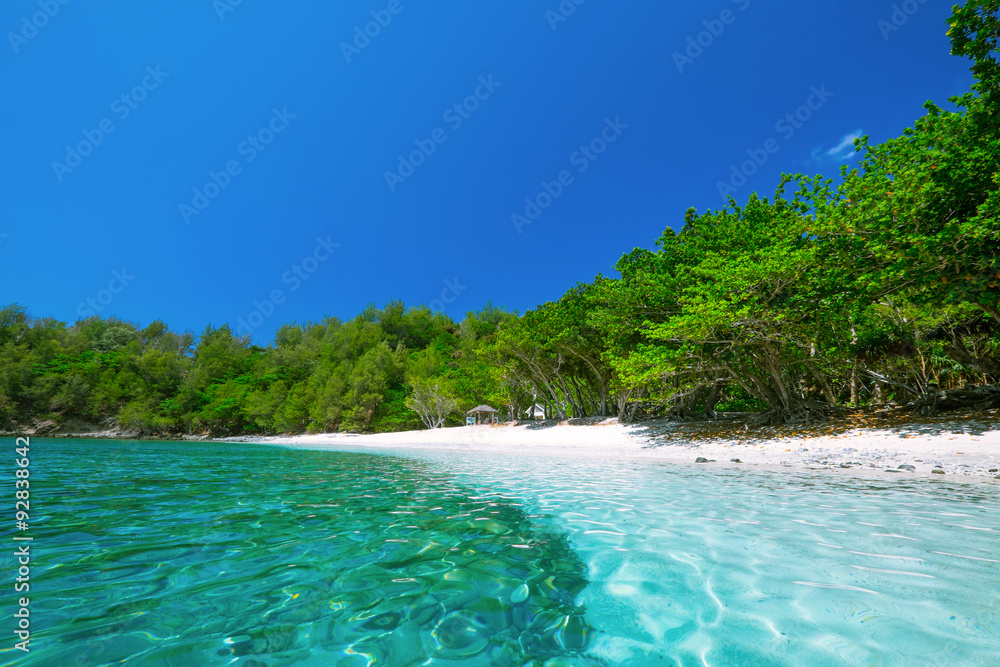 Fototapeta premium 父島のコペペ海岸