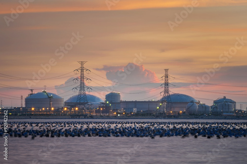 Landscape of Petrochemical industry on sunset colorful sky