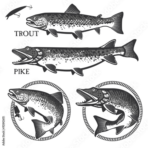Vintage trout fishing emblems, labels and design elements
