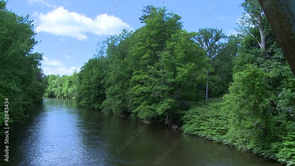 Beautiful river running through the greenery