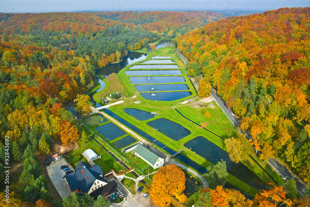 Aerial view of ponds and autumn beech forest on the hills