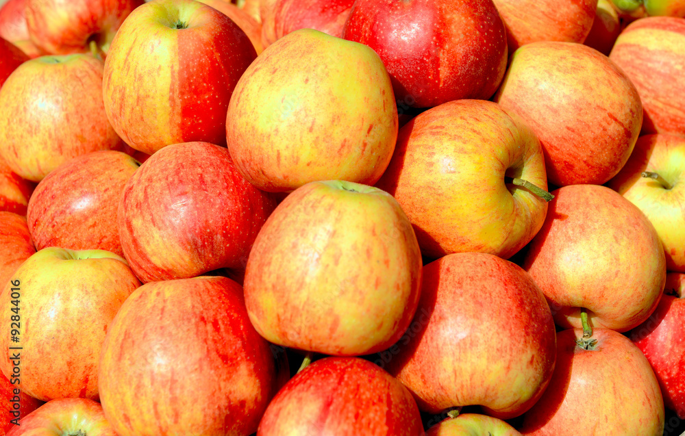 apples apples
