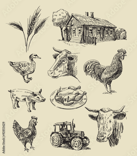 farm and animals hand drawn