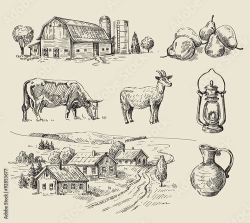 farm and animals hand drawn