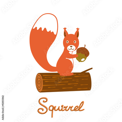 Little squirrel character photo