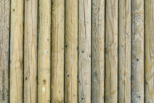 Wood logs texture background 