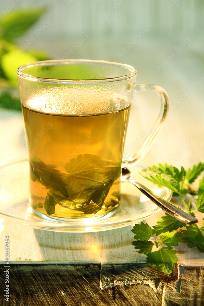 Tisane of fresh nettles in boiling water Tisane of fresh nettles in boiling water