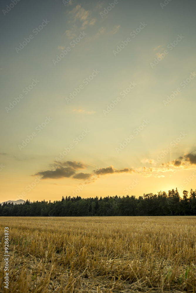 Beautiful nature - harvested wheat field under majestic evening