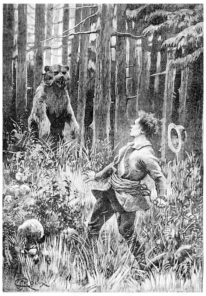 Obraz premium At twenty paces, stood a huge bear, vintage engraving.