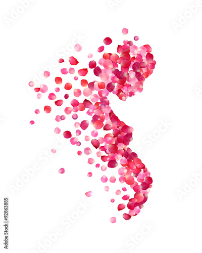 Profile of pregnant woman of rose petals
