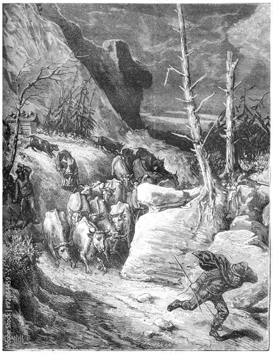 Принти на полотні The mountains seem to leap, cows down by troops panicked and flo