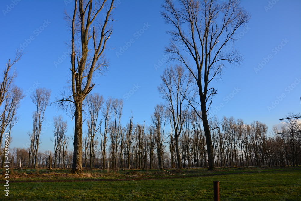 Obraz premium Nach dem Sturm