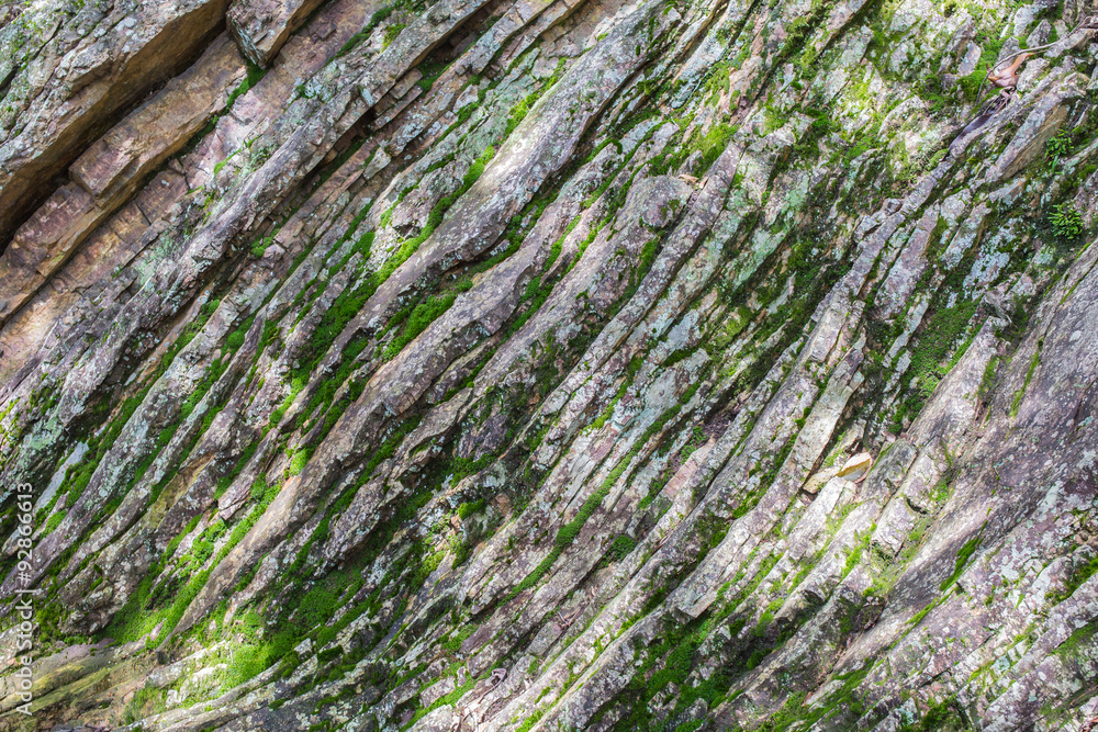 堆積岩 岐阜県 金華山 岐阜公園 Kinkazan Gifu park in Gifu prefecture sedimentary rocks 堆積岩 岐阜県 金華山 岐阜公園 Kinkazan Gifu park in Gifu prefecture sedimentary rocks