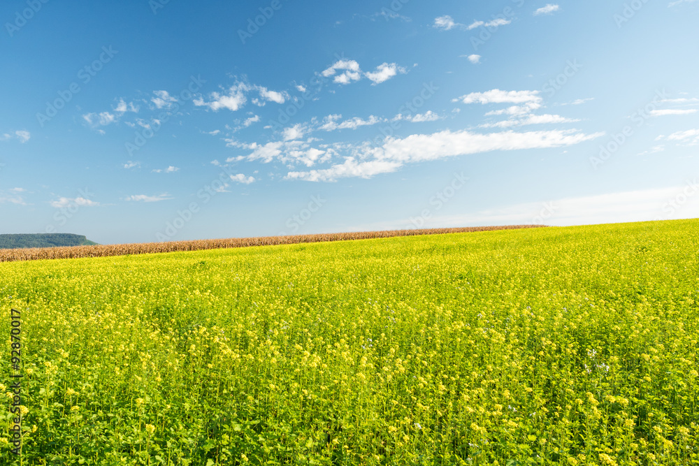 Obraz premium Schöne Landschaft 