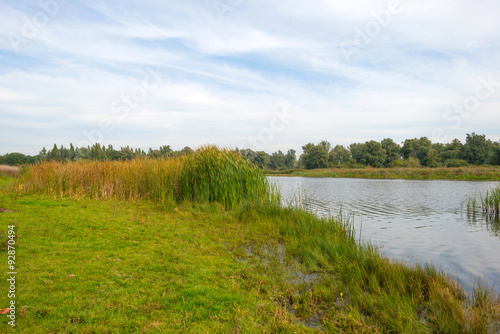 Shore of a lake below a cloudy sky in autumn 