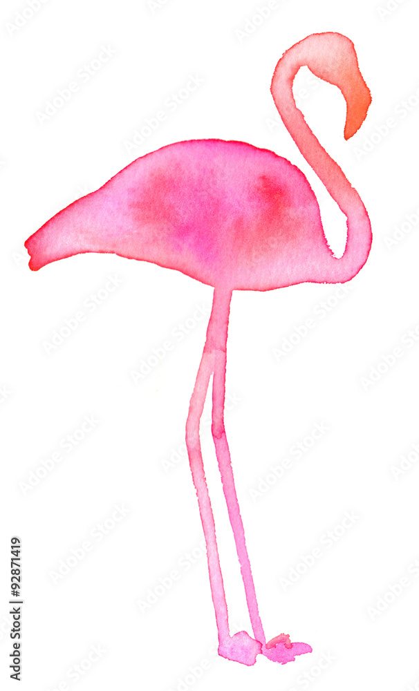 Pink flamingo. Hand drawn exotic bird silhouette