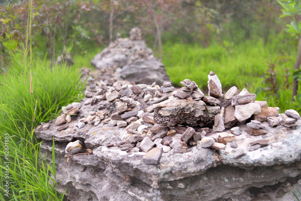 Beautiful stone in wild tropical and fog in the morning Beautiful stone in wild tropical and fog in the morning