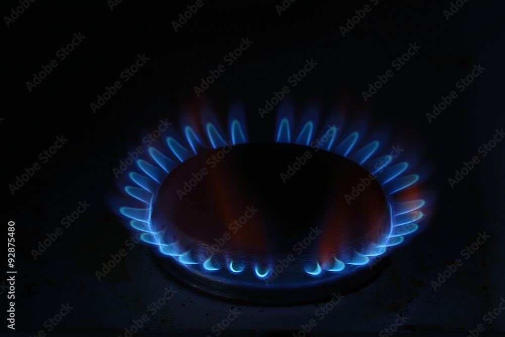 burner gas cooker