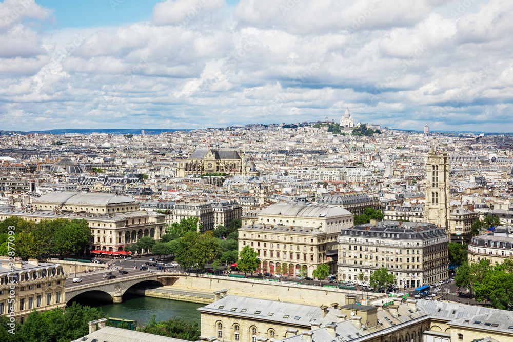 Panoramic view of Paris from the Notre Dame Cathedral in Paris,