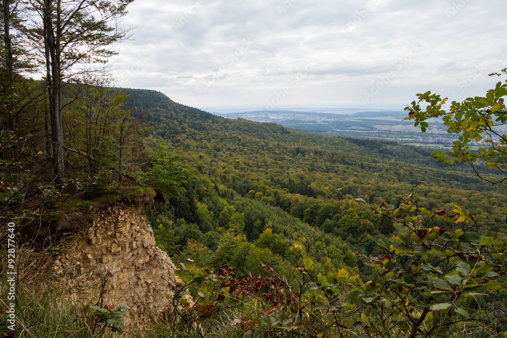 Fototapeta premium Herbstwald am Mössinger Bergrutsch