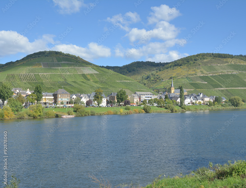 Obraz premium Weinort Zeltingen-Rachtig an der Mosel,Rheinland-Pfalz,Deutschland