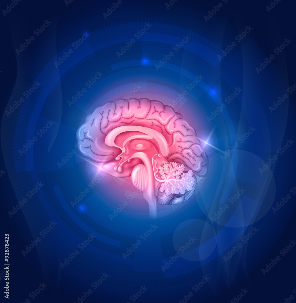 Human brain on a blue background Stock Vector | Adobe Stock