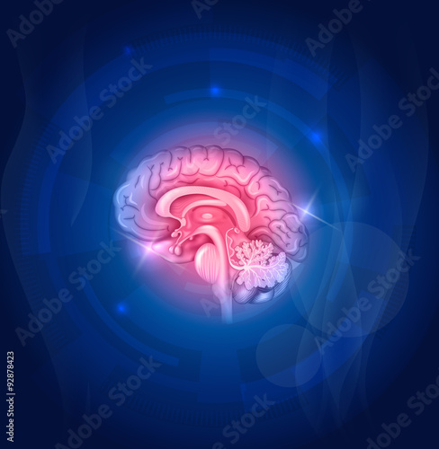 Human brain on a blue background